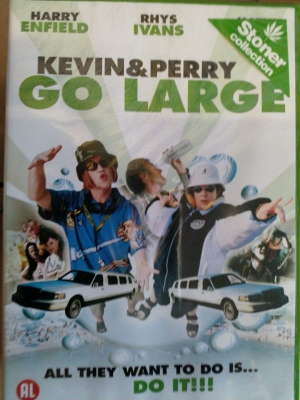 Kevin and Perry Go Large